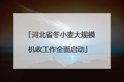 河北省冬小麦大规模机收工作全面启动